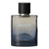 DENDUR DESTINY