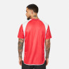 CAMISETA SELECCION NA - NARDMCC0294M0606